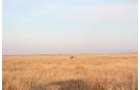Property photo 37 - Kansas Land Auction - 960 Acres - 7 Farms in 3 Counties